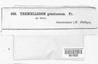 Image Associated With the Occurence